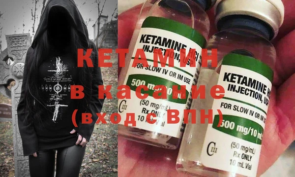 шишки Верея