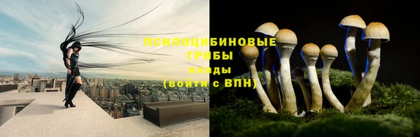 бошки Богородицк