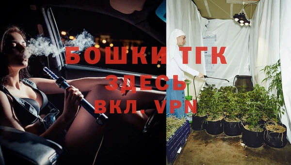 шишки Верея