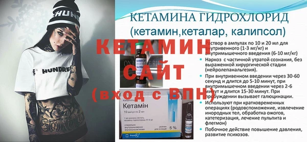 шишки Верея