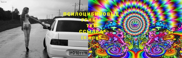 jwh Верхний Тагил