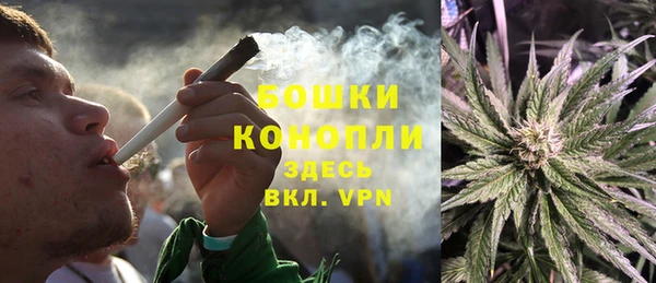 шишки Верея