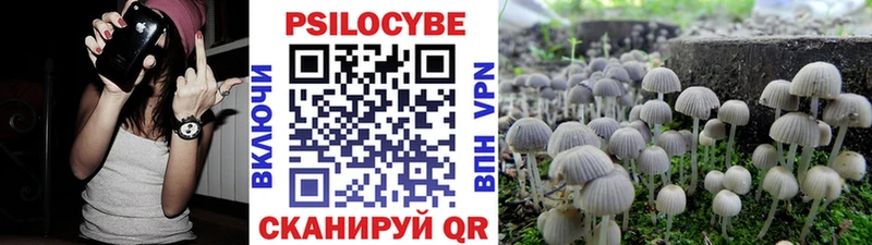 продажа наркотиков  Хасавюрт  Галлюциногенные грибы прущие грибы 